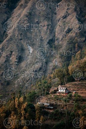 Find  the Image nepali,architecture,designed,house,top,small,hill,chitwan,nepal  and other Royalty Free Stock Images of Nepal in the Neptos collection.