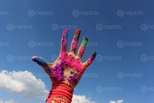 Find  the Image hand,colours,make,face,colourful  and other Royalty Free Stock Images of Nepal in the Neptos collection.