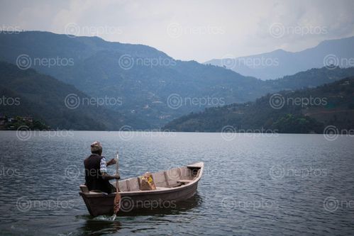 Find  the Image boatman,rowing,boat,begnas,lake  and other Royalty Free Stock Images of Nepal in the Neptos collection.