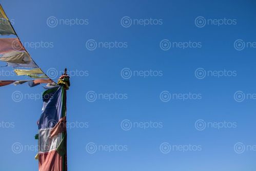 Find  the Image buddhist,flag,blue,sky  and other Royalty Free Stock Images of Nepal in the Neptos collection.