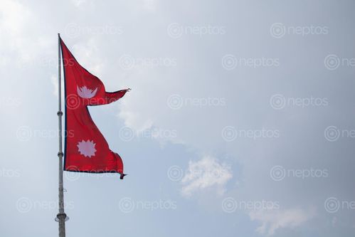 Find  the Image flag,nepal,maitighar  and other Royalty Free Stock Images of Nepal in the Neptos collection.