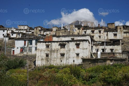 Find  the Image traditional,mustangi,architecture,jharkot,village,muktinath,nepal  and other Royalty Free Stock Images of Nepal in the Neptos collection.