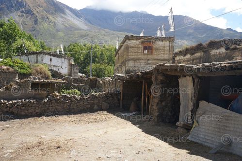 Find  the Image traditional,mustangi,architecture,purang,village,muktinath,nepal  and other Royalty Free Stock Images of Nepal in the Neptos collection.