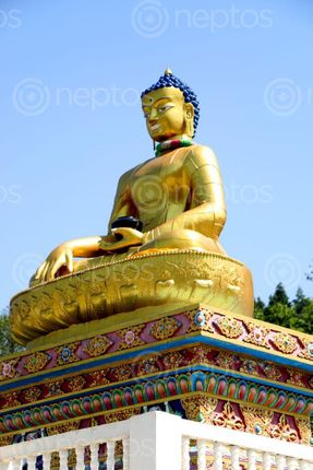 Find  the Image nagarkot,buddha,peace,garden#,stock,image#,nepal,_photographyby,sita,maya,shrestha  and other Royalty Free Stock Images of Nepal in the Neptos collection.