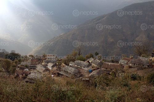 Find  the Image pashgaun,village,lamjung,nepal  and other Royalty Free Stock Images of Nepal in the Neptos collection.