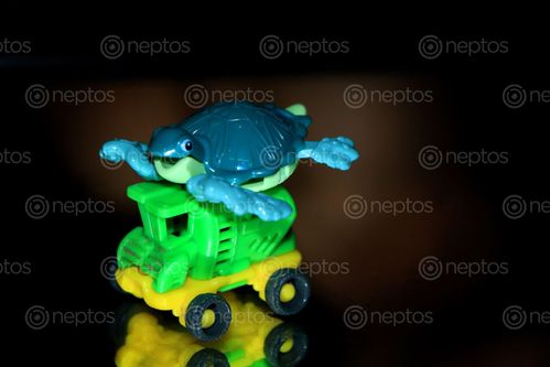 Find  the Image tortoise,toy#,car,#stock,image#,nepal,photography,sita,maya,shrestha  and other Royalty Free Stock Images of Nepal in the Neptos collection.