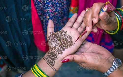 Find  the Image women,making,mehendi,art,hand,bangles,shrawan,month,traditional,festival,kathmandu,nepal  and other Royalty Free Stock Images of Nepal in the Neptos collection.