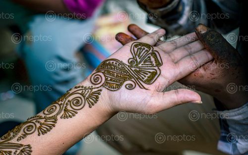 Find  the Image women,mehendi,art,hand,shrawan,traditional,festival,kathmandu  and other Royalty Free Stock Images of Nepal in the Neptos collection.