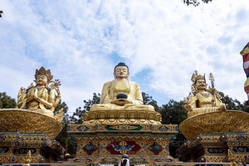 Find  the Image golden,buddha,statues,park,swayambhunath,area,kathmandu,nepal,world,heritage,site,declared,unesco  and other Royalty Free Stock Images of Nepal in the Neptos collection.