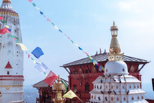 Find  the Image small,stupa,shikhar,style,template,erected,swayambhunath  and other Royalty Free Stock Images of Nepal in the Neptos collection.