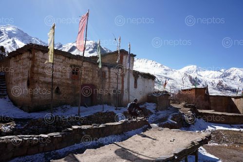 Find  the Image typical,tibetan,street,mustang,nepal  and other Royalty Free Stock Images of Nepal in the Neptos collection.