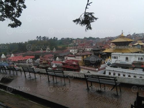 Find  the Image pashupati,nath,rainy,day,summar  and other Royalty Free Stock Images of Nepal in the Neptos collection.