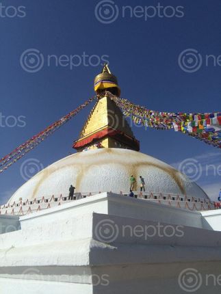 Find  the Image unesco,world,heritage,site,painted,post,recontruction,monument,due,earthquake  and other Royalty Free Stock Images of Nepal in the Neptos collection.