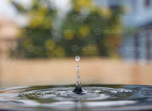 Find  the Image water,droplet,blurred,background  and other Royalty Free Stock Images of Nepal in the Neptos collection.