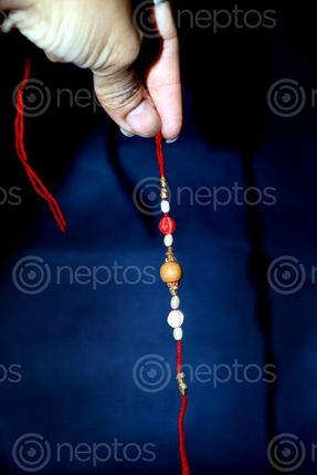 Find  the Image happy,raksha,bandhan,images,stock,image,nepal,_photography,sita,maya,shrestha  and other Royalty Free Stock Images of Nepal in the Neptos collection.