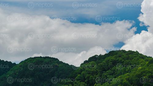 Find  the Image shivapuri,hills,beautifully,lit,afternoon,sun,microsoft,xp,vibbess  and other Royalty Free Stock Images of Nepal in the Neptos collection.