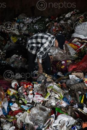Find  the Image man,sorting,trash,thrown,kathmandu,produces,tons,solid,waste,day  and other Royalty Free Stock Images of Nepal in the Neptos collection.