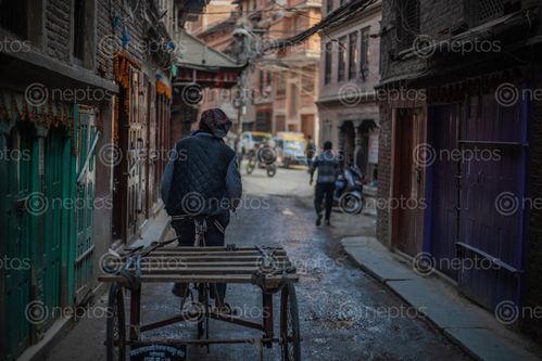 Find  the Image man,pedaling,rikshaw,narrow,streets,patan,nepal  and other Royalty Free Stock Images of Nepal in the Neptos collection.