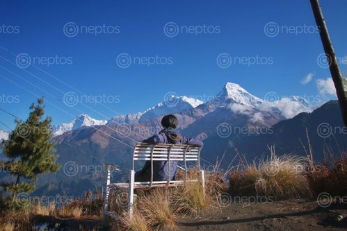 Find  the Image photo,ghorepani,region,november  and other Royalty Free Stock Images of Nepal in the Neptos collection.