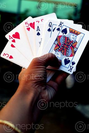 Find  the Image playing,cards,photography#stock,image,nepal,photography,sita,maya,shrestha  and other Royalty Free Stock Images of Nepal in the Neptos collection.