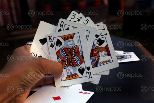 Find  the Image playing,cards,photography#stock,image,nepal,photography,sita,maya,shrestha  and other Royalty Free Stock Images of Nepal in the Neptos collection.
