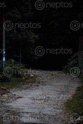 Find  the Image gravelled,road,surrounding,grass  and other Royalty Free Stock Images of Nepal in the Neptos collection.