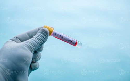 Find  the Image holding,blood,sample,tube,positive,covid-19,coronavirus,pandemic,disease,kathmandu,nepal  and other Royalty Free Stock Images of Nepal in the Neptos collection.