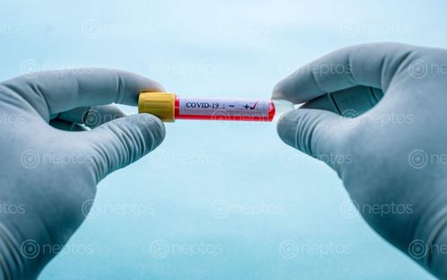 Find  the Image holding,blood,sample,tube,positive,covid-19,coronavirus,pandemic,disease,kathmandu,nepal  and other Royalty Free Stock Images of Nepal in the Neptos collection.
