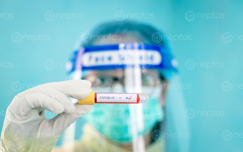 Find  the Image nurse,holding,test,tube,blood,testing,period,corona,virus,pandemic,kathmandu,nepal  and other Royalty Free Stock Images of Nepal in the Neptos collection.