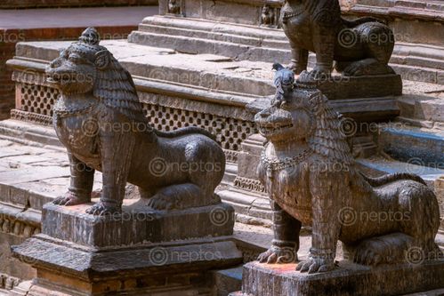 Find  the Image statue,lion,entrance,krishna,mandirkrishna,template,patan,durbar,square  and other Royalty Free Stock Images of Nepal in the Neptos collection.