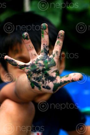 Find  the Image boy,hand,painted,color,paint,#stock,image,#nepal,photographyby,sita,maya,shrestha  and other Royalty Free Stock Images of Nepal in the Neptos collection.