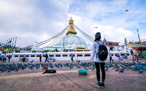 Find  the Image beautiful,view,boudhanath,stupa,kathmandu,nepal  and other Royalty Free Stock Images of Nepal in the Neptos collection.