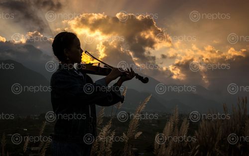 Find  the Image girl,playing,violin,gloomy,sunset,kathmandu,nepal  and other Royalty Free Stock Images of Nepal in the Neptos collection.