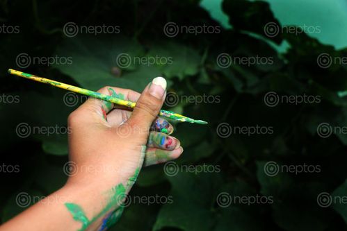 Find  the Image hand,holding,paint,brush,stock,image,nepal,photography,sita,maya,shrestha  and other Royalty Free Stock Images of Nepal in the Neptos collection.