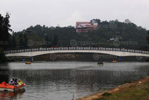 Find  the Image location-,mirik,town,lake,beauty,bridge,absolutely,beautiful,building,adds,cherry,top  and other Royalty Free Stock Images of Nepal in the Neptos collection.