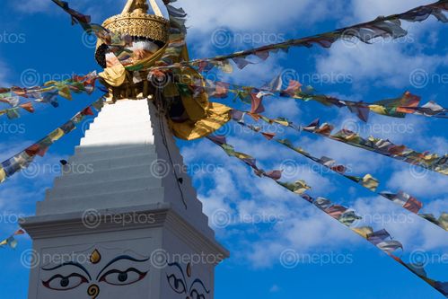 Find  the Image ashok,stupa,built,buddhist,emperor,ashoka,mark,boundaries,patan,nepal  and other Royalty Free Stock Images of Nepal in the Neptos collection.