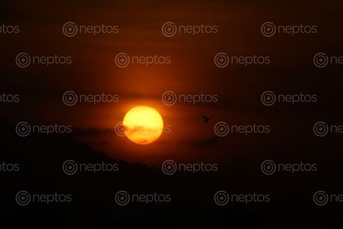 Find  the Image sunset,photography,shot,swayambhu,stupa  and other Royalty Free Stock Images of Nepal in the Neptos collection.