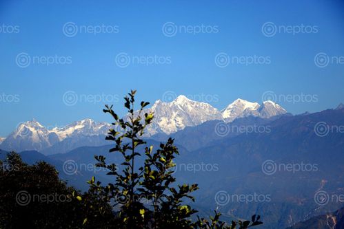 Find  the Image mt,jugal,himal,sindhupalchok,tauthali#,stock,image#,nepal,photography,sita,maya,shrestha  and other Royalty Free Stock Images of Nepal in the Neptos collection.