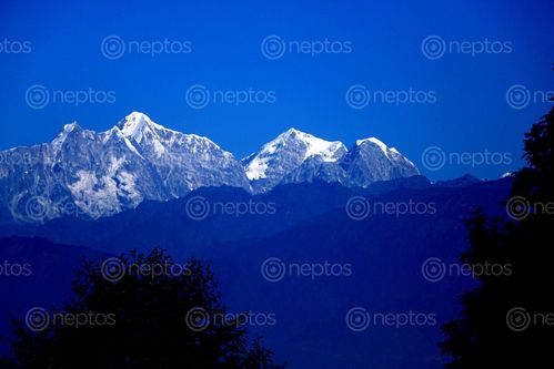 Find  the Image mt,jugal,himal,sindhupalchok,tauthali#,stock,image#,nepal,photography,sita,maya,shrestha  and other Royalty Free Stock Images of Nepal in the Neptos collection.