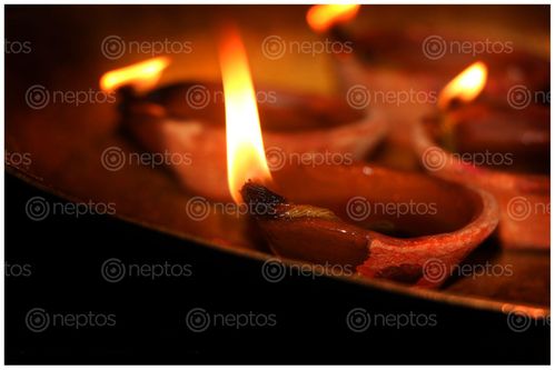 Find  the Image diwali,diwa#stock,image#,nepalphotographyby,sita,maya,shrestha  and other Royalty Free Stock Images of Nepal in the Neptos collection.