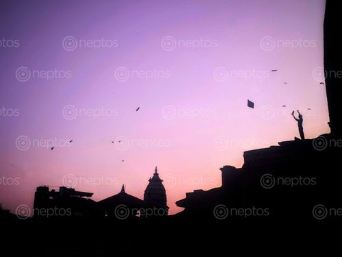 Find  the Image silhouette,bhaktapur,dashain  and other Royalty Free Stock Images of Nepal in the Neptos collection.