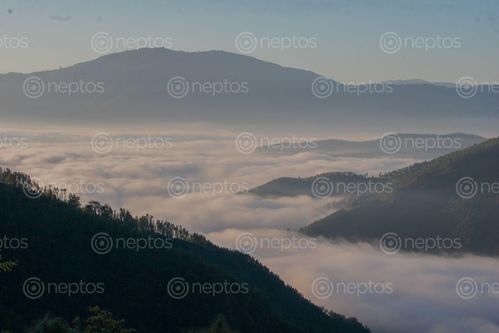 Find  the Image sea,clouds,valley  and other Royalty Free Stock Images of Nepal in the Neptos collection.