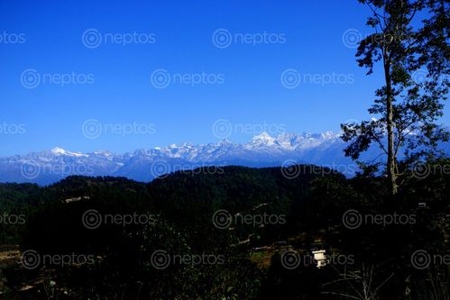 Find  the Image nagarkot,mt,everest,stock,image,nepal,photography,sita,maya,shrestha  and other Royalty Free Stock Images of Nepal in the Neptos collection.