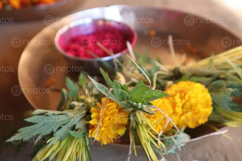 Find  the Image dashain/vijayadashami,vibe,creation,images,hindu,culture,nepal  and other Royalty Free Stock Images of Nepal in the Neptos collection.