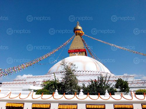 Find  the Image boudhanath,stupa,kathmandu,nepal  and other Royalty Free Stock Images of Nepal in the Neptos collection.