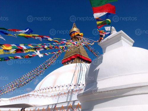 Find  the Image boudhanath,stupa,kathmandu,nepal  and other Royalty Free Stock Images of Nepal in the Neptos collection.