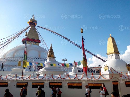 Find  the Image nepal,larget,boudhnath,stupa  and other Royalty Free Stock Images of Nepal in the Neptos collection.