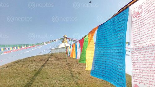 Find  the Image buddhist,chaita,built,centuries,ago,lalitpur,nepal,find,chaitya  and other Royalty Free Stock Images of Nepal in the Neptos collection.