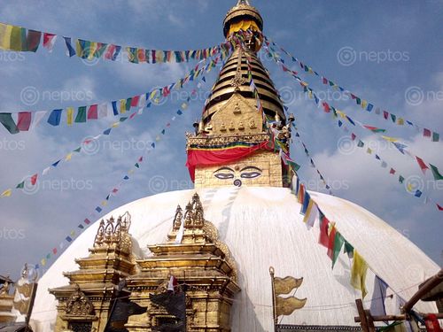 Find  the Image swoyambhunath,stupa,holy,place,buddhism,located,half,hour,tribhuwan,international,airport  and other Royalty Free Stock Images of Nepal in the Neptos collection.