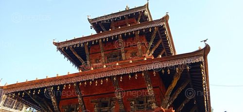 Find  the Image pegoda,temple,chovar,jal,binayak,recently,renovated  and other Royalty Free Stock Images of Nepal in the Neptos collection.